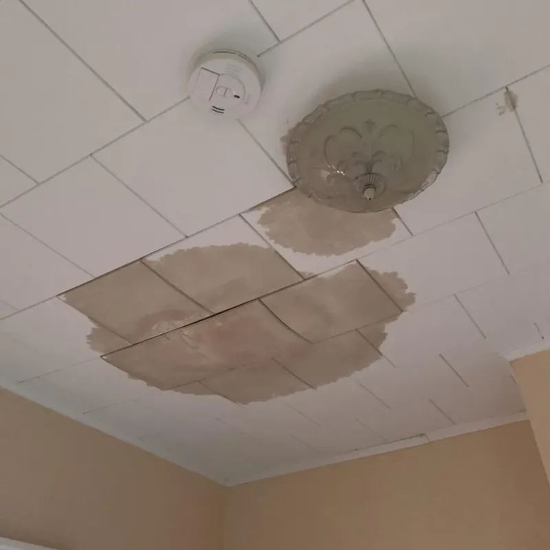 Ceiling Water Damage Repair in Fayette County, GA