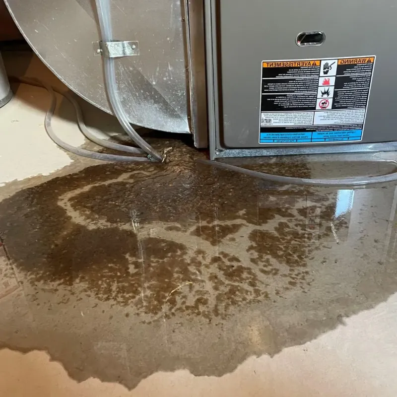 Pipe Burst and Leak Restoration in Fayette County, GA