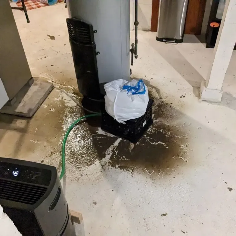 Sewage Backup Cleanup Service in Fayette County, GA